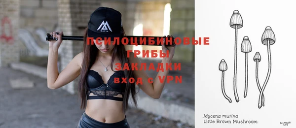 МДПВ Арсеньев