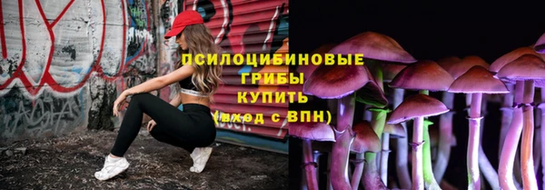 МДПВ Арсеньев