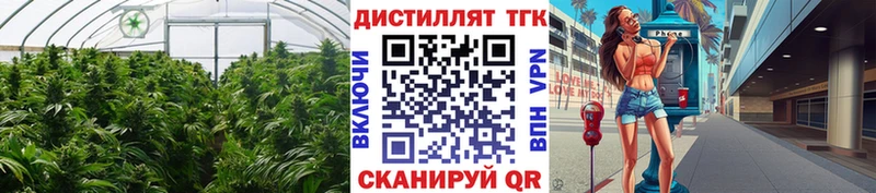 Дистиллят ТГК вейп с тгк  KRAKEN маркетплейс  Теберда 